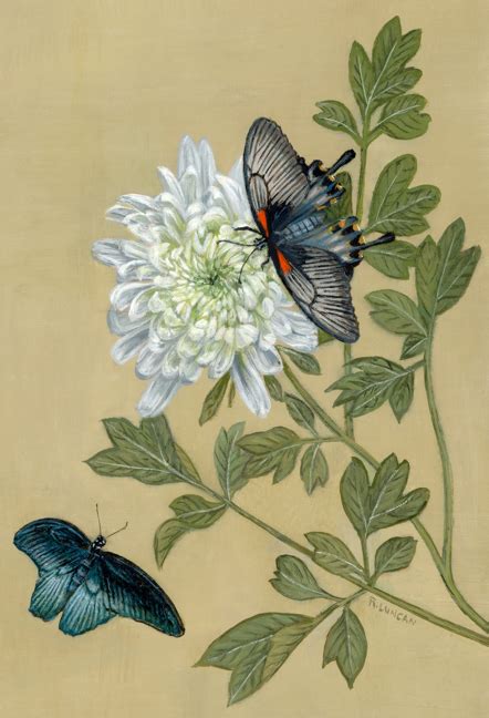 Flowers And Butterflies Paintings