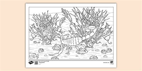 Scorpion Habitat Colouring Sheet Lehrer Gemacht Twinkl