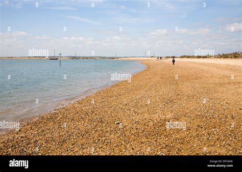 Sand And Shingle Beach At West Mersea Mersea Island Essex England