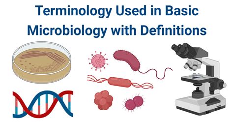 Microbiology Terms And Terminology With Definitions