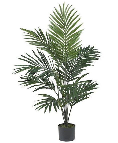 5 Wispy Kentia Palm Silk Tree Kentia Palm Potted Trees Silk Tree