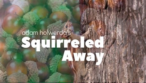 Squirreled Away | short stories by adam holwerda