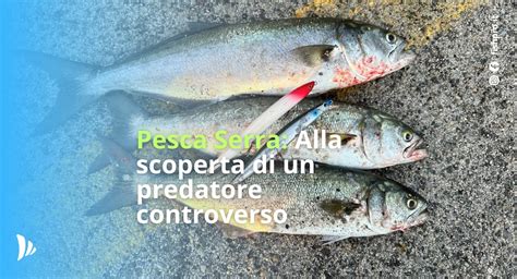 Pesce Serra