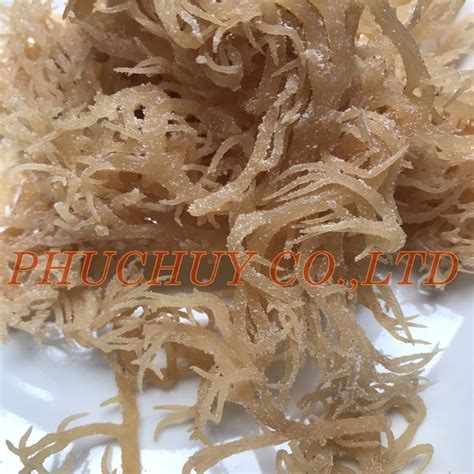 Sea Moss Phuchuyco Ltd