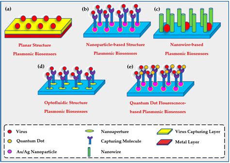 Biology Free Full Text Plasmonic Biosensors Review