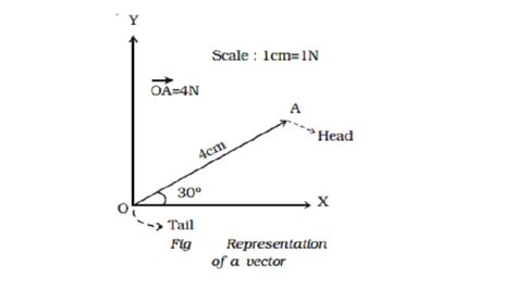 Representation Of A Vector Quantities