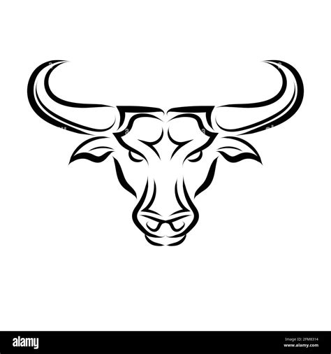 Line Vector Illustration Front View Of Bull It Is Signs Of The Taurus