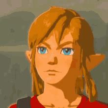 Zelda Link Realized Hyrule Warriors Age Of Calamity GIF - Zelda Link Realized Zelda Hyrule ...