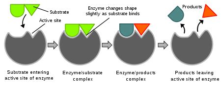 Catalyst Examples