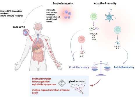 Frontiers Effect Of Extracorporeal Hemoadsorption In Critically Ill