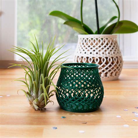 Decorative Air Plant Vase Print A Pot