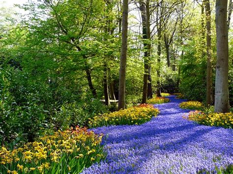 Blue River Keukenhof Coanri Rita Flickr