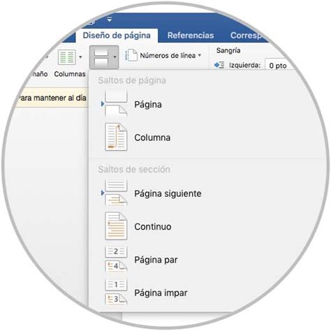 C Mo Crear Secciones En Word Solvetic