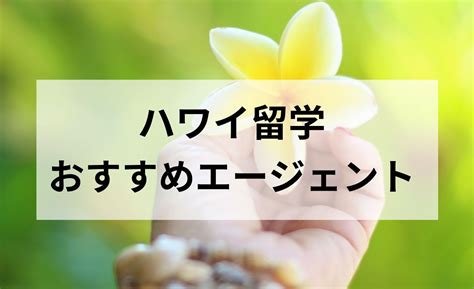 ハワイ留学おすすめエージェント比較 海外キャリア図鑑