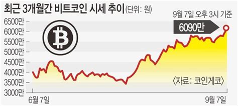 어~ 다시 오른다 사야돼비트코인 6000만원 돌파 네이트 뉴스