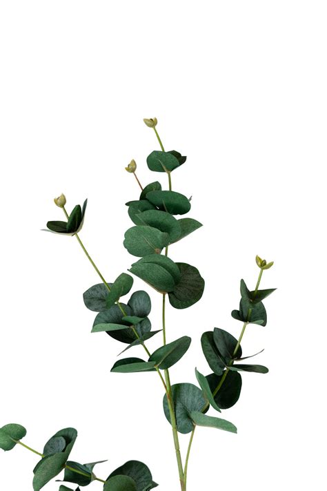 EUCALYPTUS BRANCHE ARTIFICIEL 90CM Atmosphere Green