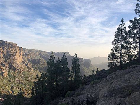 31 Monumento Natural Del Roque Nublo Photos Pictures And Background