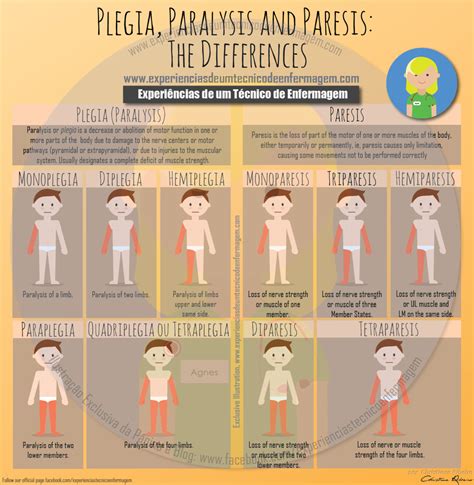 Plegia, Paralysis and Paresis: The Differences | Tecnico em enfermagem ...