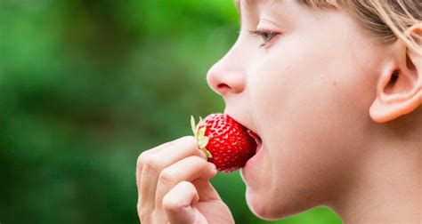 Dos Recetas Que Puedes Hacer Con Frutillas Para Disfrutar En Familia