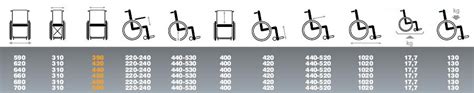 Reclinable Manually Propelled Wheelchair V Kyritsis Orthopaedic