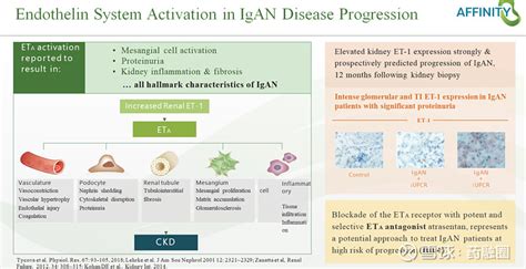 创新药奇缺全球肾脏疾病高发ETA受体拮抗剂3期临床迎来积极数据 注本文不构成任何投资意见和建议以官方 公司公告为准本文仅作医疗健康