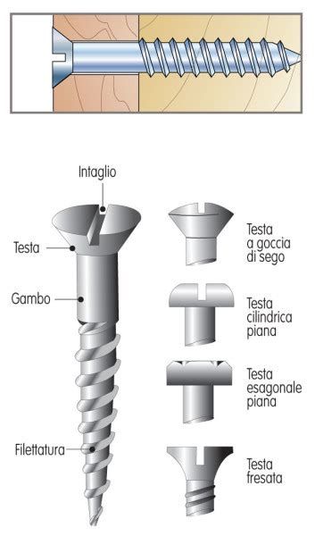 Le Tipologie Di Viti Da Legno Bricoportale