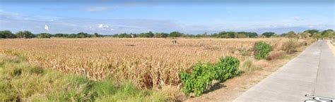 For Sale Huge 249 Hectares Property In Moncada Tarlac