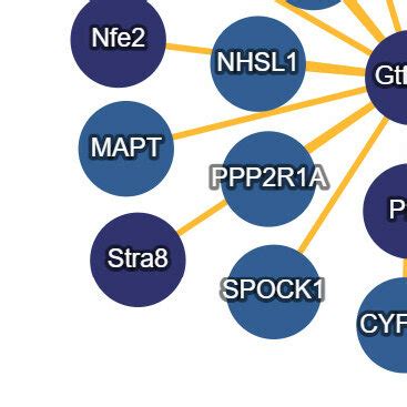 Gene Function Analysis Of Target Genes Regulated By Four Transcription