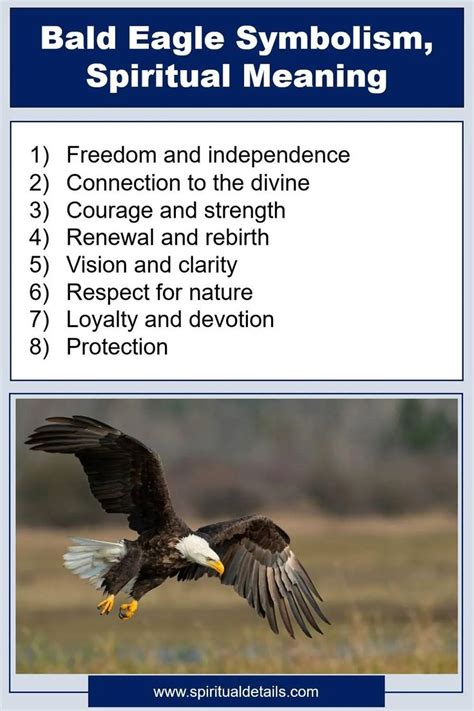 Bald Eagle Spiritual Meaning Symbolism Good Luck Spiritual