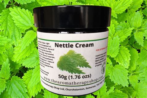 Nettle Cream The Aromatherapy Shop Ltd