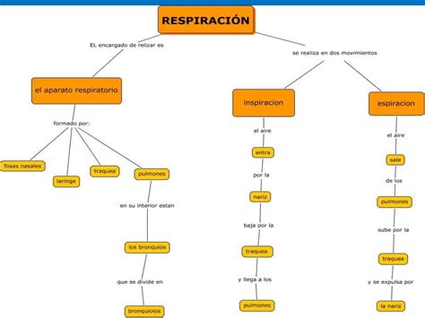 Diferencias Entre Mapa Conceptual Cuadro Sinoptico Y Mapa Mental