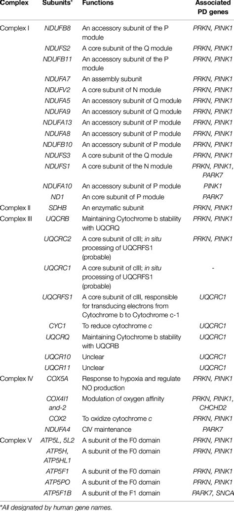 Canonical Oxphos Functions Of The Mitochondrial Complex Subunits