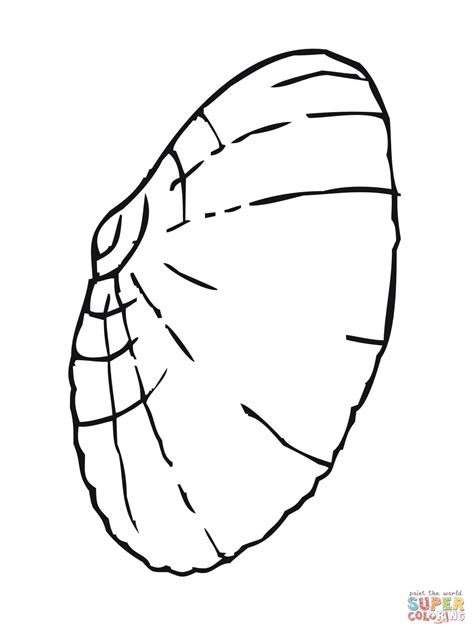 Clam Shell Coloring Page Free Printable Coloring Pages