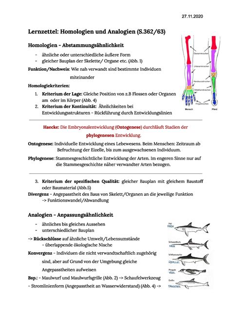 Lernzettel Homologie U Analogie Studocu