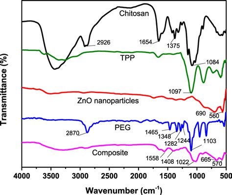 Ftir Spectra Of Chitosan Stpp Zno Nanoparticles Peg And