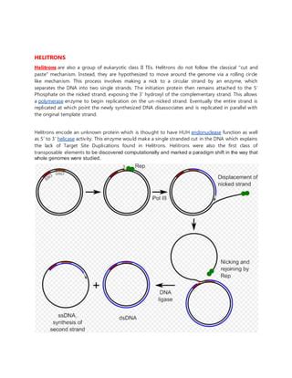 structure  transposonsdocx chemistry science