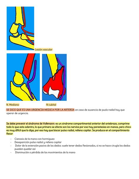 Solution Fracturas De Codo Studypool