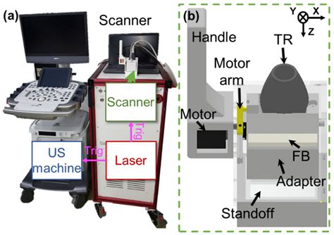 Biosensors Free Full Text Motion Compensation For D Multispectral