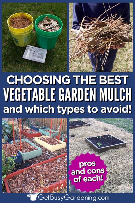 9 Best Mulches For Your Vegetable Garden Beds In 2024 Mulch For