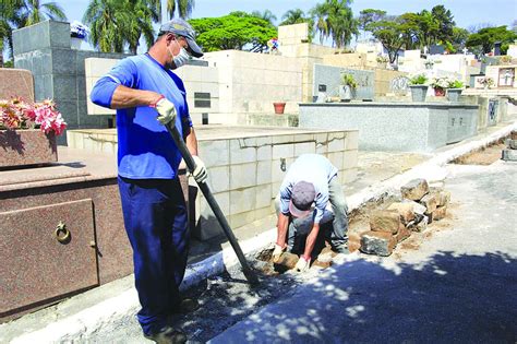 Árvores no Cemitério do Santíssimo começam a ser substituídas Jornal