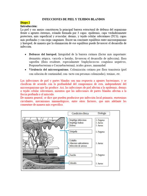 Infecciones De Piel Y Tejidos Blandos Completo Pdf Staphylococcus