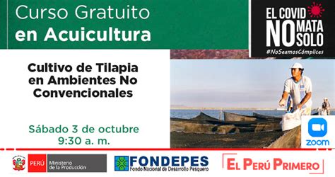 Curso Virtual Gratuito Cultivo De Tilapia En Ambientes No Convencionales