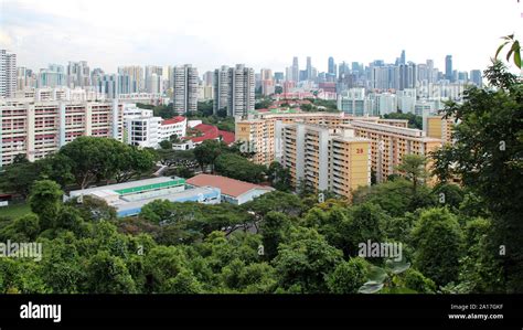 skyline and forest in singapore Stock Photo - Alamy