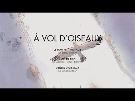 A VOL D OISEAUX Bande Annonce Officielle HD Gebeka Films YouTube