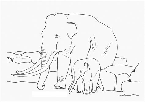 Free Printable Elephant Coloring Pages For Kids