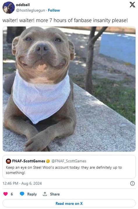 Waiter Waiter More Toddlers Please—origins Of The Pit Bull Meme