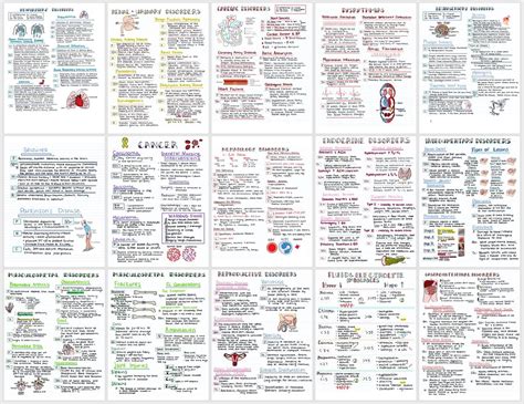 PRINTED DIGITAL PDF Med Surg Bundle Nclex Nursing Notes Cece