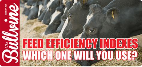 Cdcb Feed Efficiency Indexes Which One Will You Use