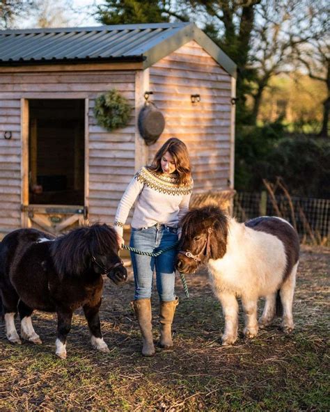 Shetland Pony - Small Stature With A Big Spirit