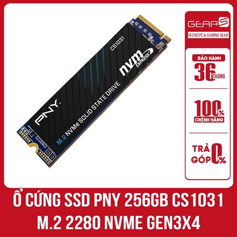 Mua Ổ Cứng Ssd Pny Nvme 256gb 500gb Gen3x4 Bảo Hành Chính Hãng 36 Tháng Giá Rẻ Nhất Tecki Vn